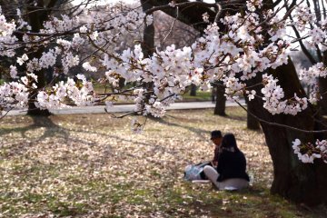 Koganei City - Parks & Gardens