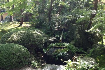 <p>Un &eacute;tang dans le jardin</p>