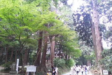 Approach up Mount Kanzan