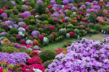Ome City - Parks & Gardens