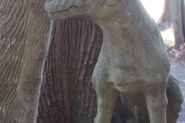 Another attraction of the shrine is the wolf "komainu" guardians. Komainu are usually a type of lion dog, but at Hodosan shrine they are wolves. 