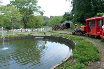 Swan pond and little red train. Choo-choo!