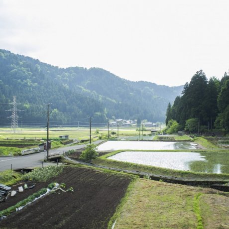 Echizen