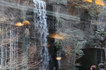 There is also a lounge with a view of the hotel's waterfall. 