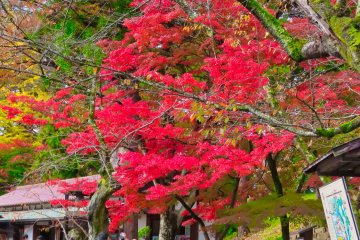 Small shrine at Tsurugajo Castle