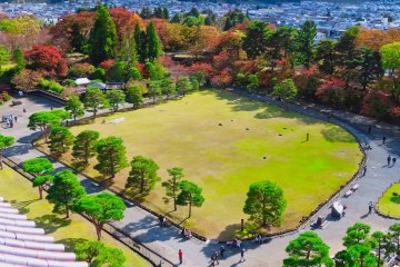 Castle grounds from 5th floor observation tower
