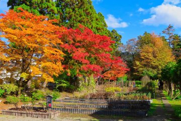 Oyakuen Garden's Herb Garden area