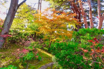 Oyakuen Garden pathway