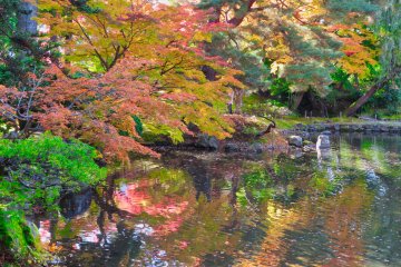 Oyakuen Garden reflections