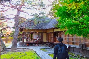 Traditonal Japanese Tea ceremony using special Oyakuen recipe
