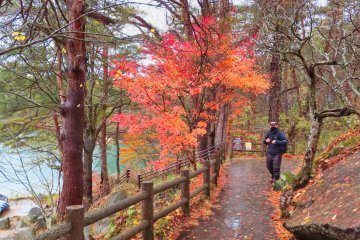 Beginning of pond trail