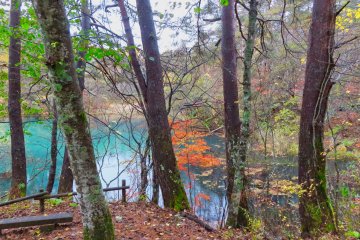 Arriving at Akanuma Pond