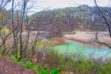 Midoronuma Pond