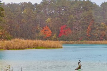 Fall colors at Bentenuma Pond