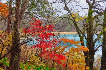  Aonuma Pond fall colors