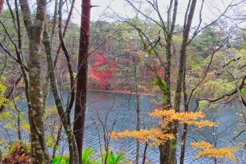 Yanaginuma Pond
