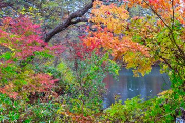 Yanaginuma Pond, end of the trail
