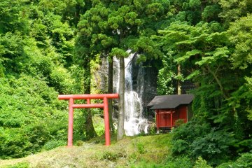 There are plenty of tiny shrines and waterfalls hidden between the trees.