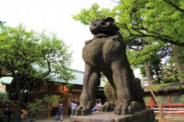 Bunkyo City Ward - Temples & Shrines