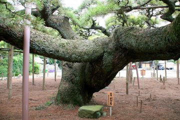 Edogawa City Ward - Temples & Shrines