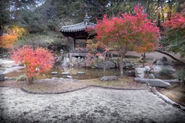 Autumn in Yokohama’s Mitsuike Park