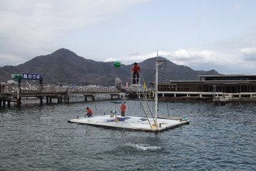 A dolphin show at Awashima Marine Park. The dolphins keep is in the sea.