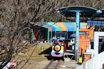 And probably the most popular attraction in the park - a mini train that goes around part of the park.