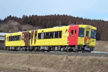 The Pokemon With You Train