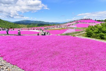 Mt. Chausu