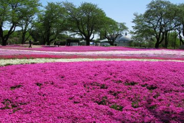 Tobu Treasure Garden, Tatebayashi, Gunma