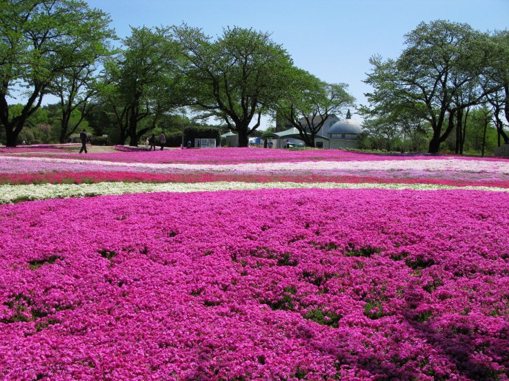 Tobu Treasure Garden, Tatebayashi, Gunma