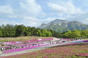 Hitsujiyama Park