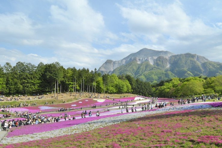 Hitsujiyama Park