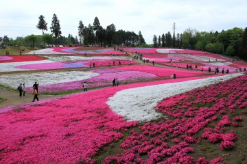 Hitsujiyama Park