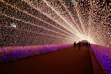 Japan Illumination