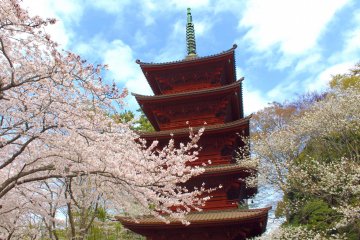 Northern Chiba Temples
