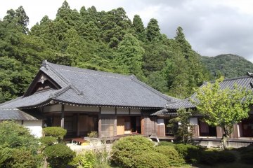 Part of the lavish grounds