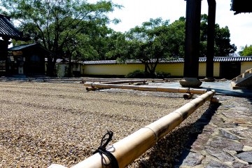 Beautiful brown sand in front of the hall