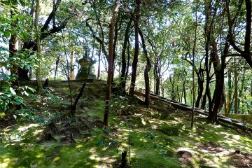 Ganjin's grave is on a mound (backview)