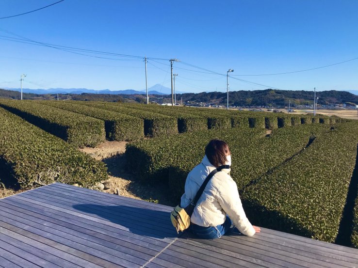 The Landscape Tea Terrace