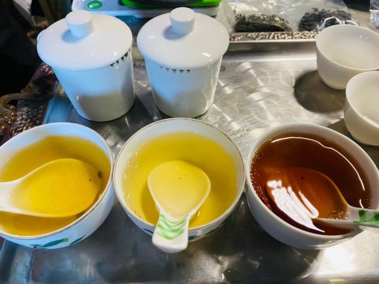 Tasting the different types of tea