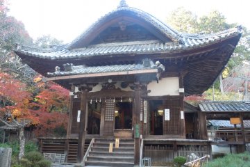 The main hall or Hondo with a curbed roof