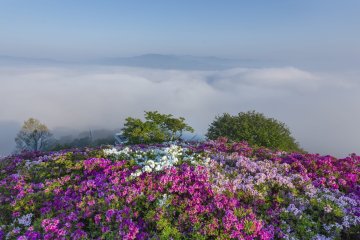 Tomisuyama Park