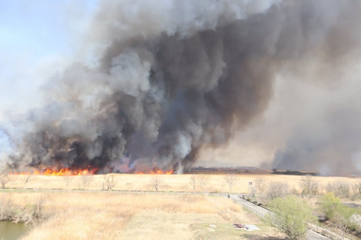 The reeds ablaze in 2019.