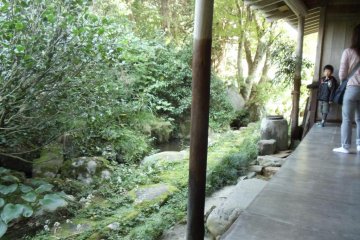 The small garden on the north side of the house