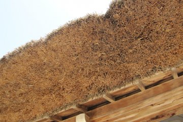 Thatched roof