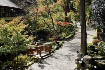 The hotel’s lovely garden.