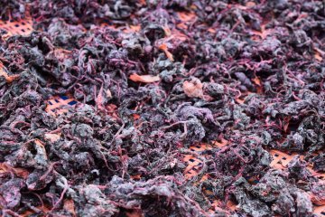 Red shiso being dried in the sun to make the marinade for umeboshi