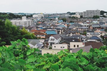 View of the world beyond the peace of the temple