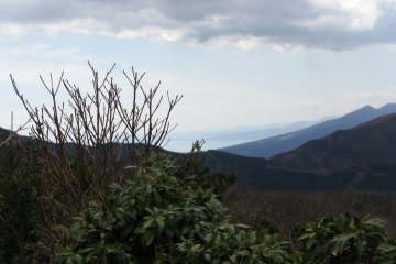 The nature of Hakone